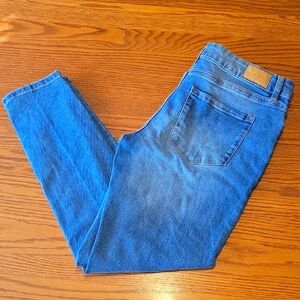 Tahari Women's Blue Jeans